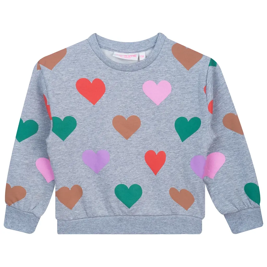 Trui Fauve (grey melange)