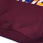 Someone Trui hoodie Gaston (bordeaux)
