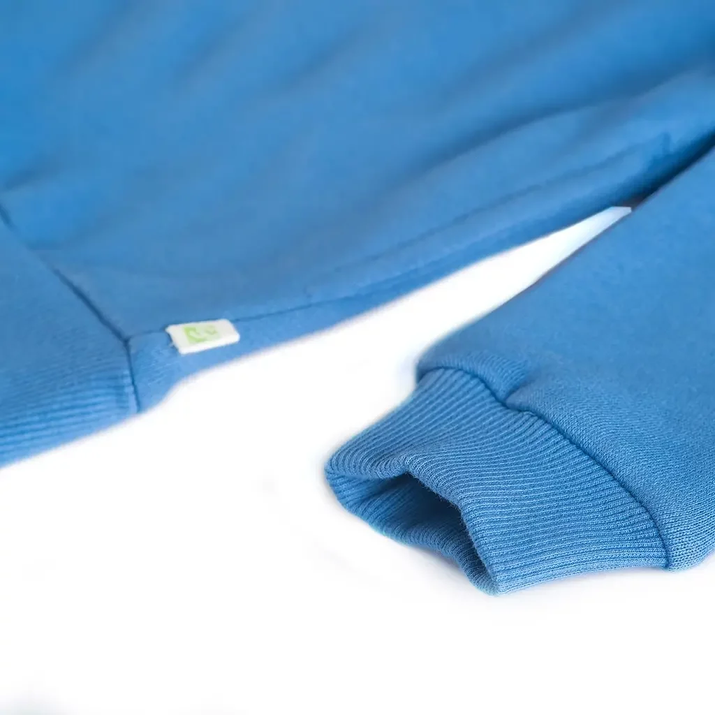 Trui hoodie Jackson (blue)