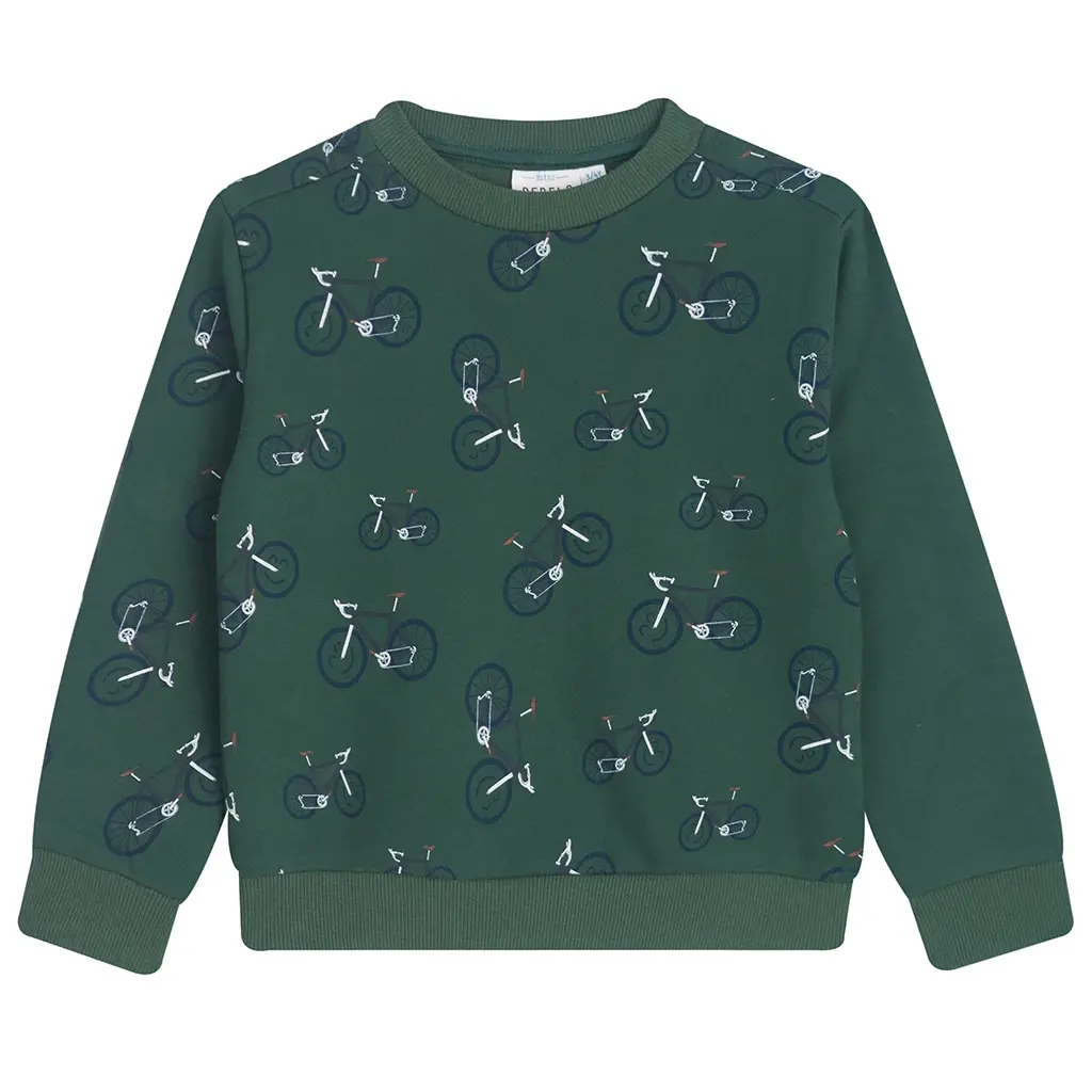 Trui Biking (green)