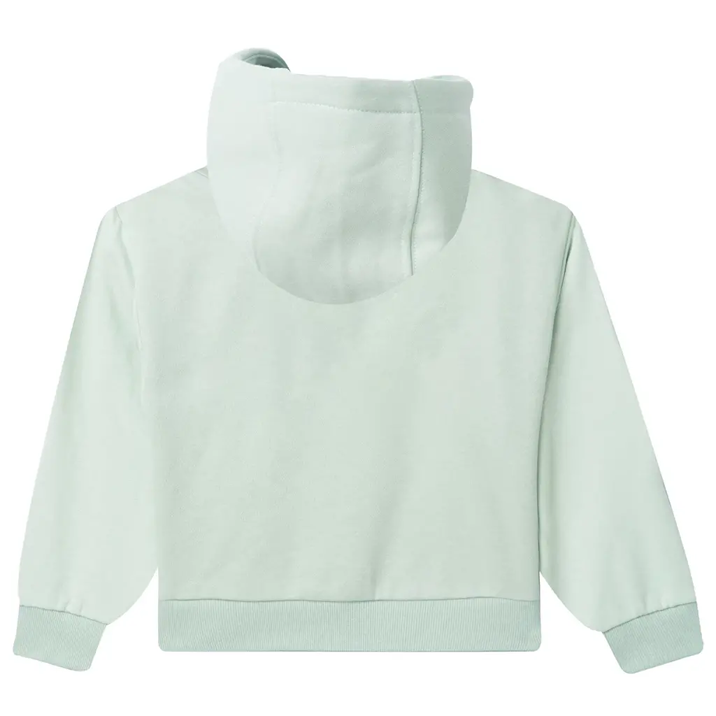 Trui hoodie Corpem (mint)
