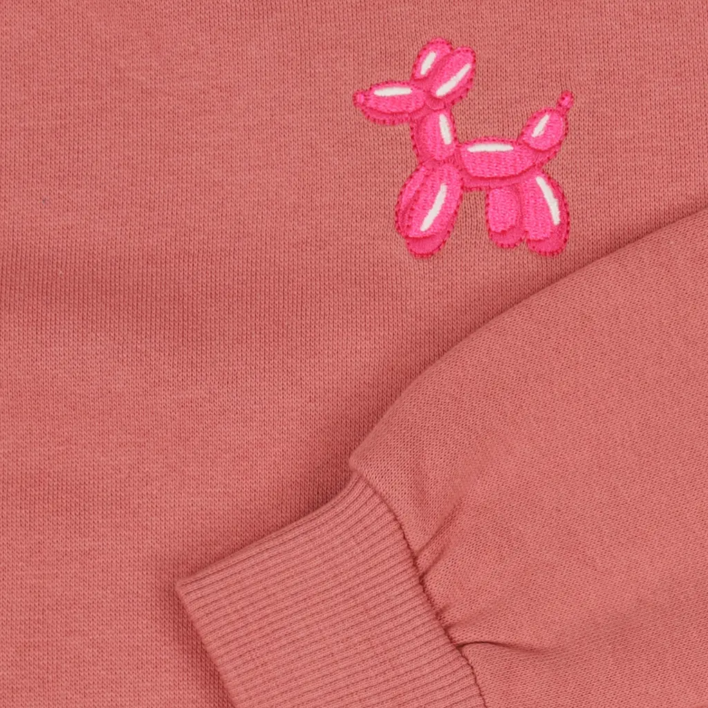 Trui Salute (dusty rose)