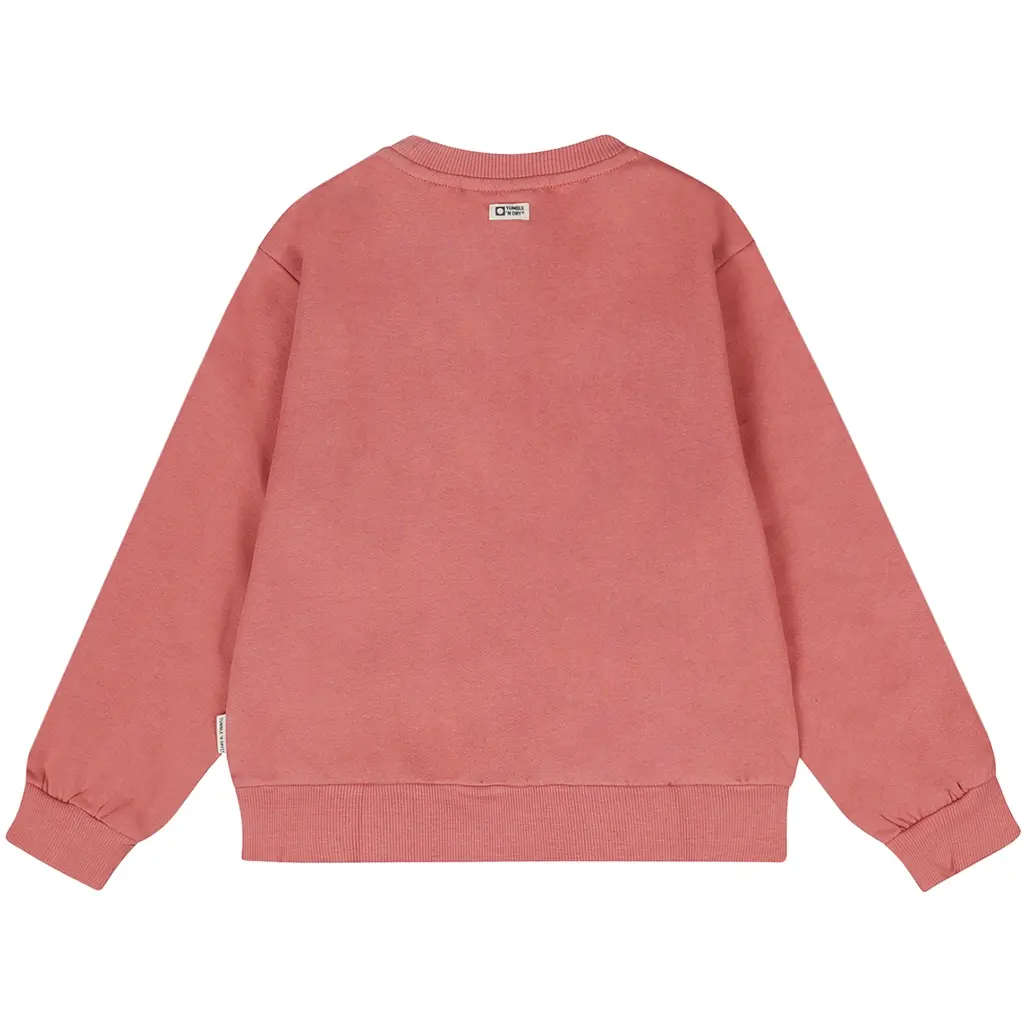 Trui Salute (dusty rose)