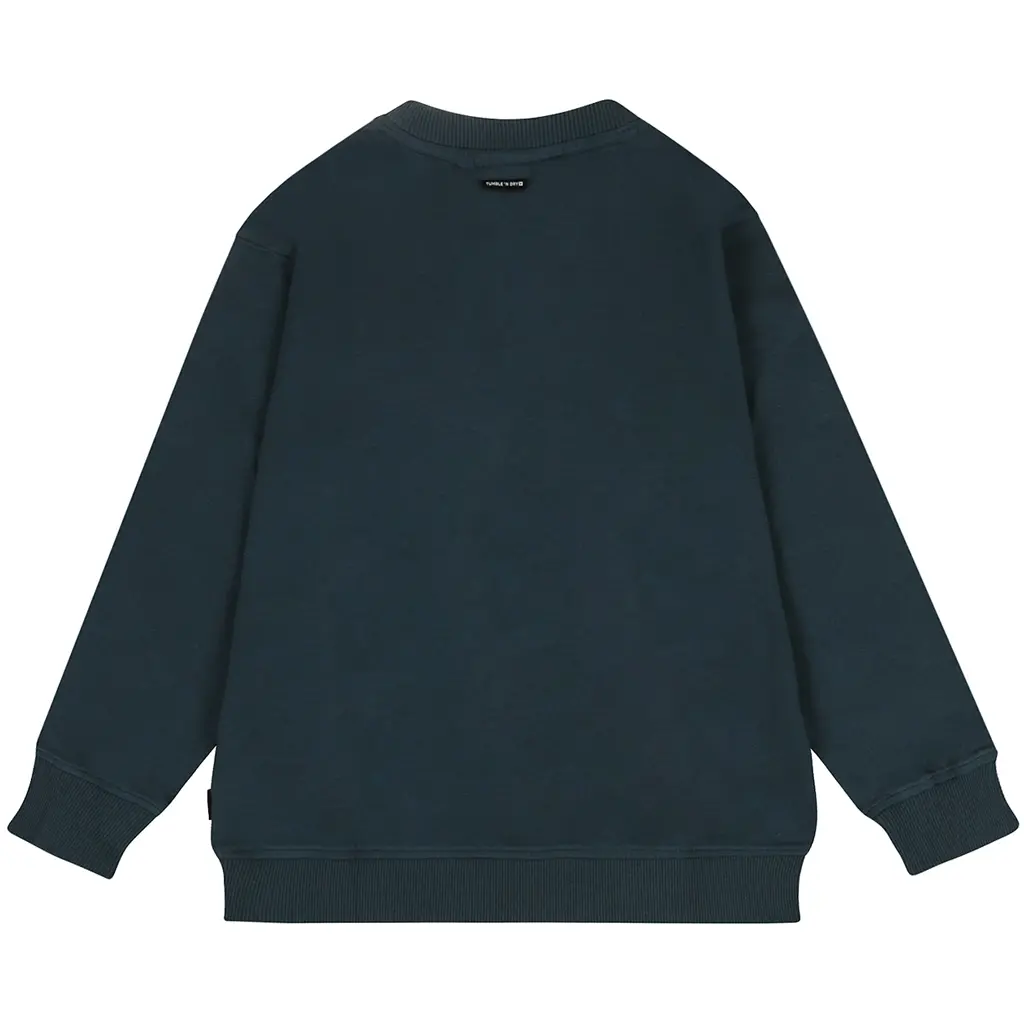 Trui Assist (stargazer)