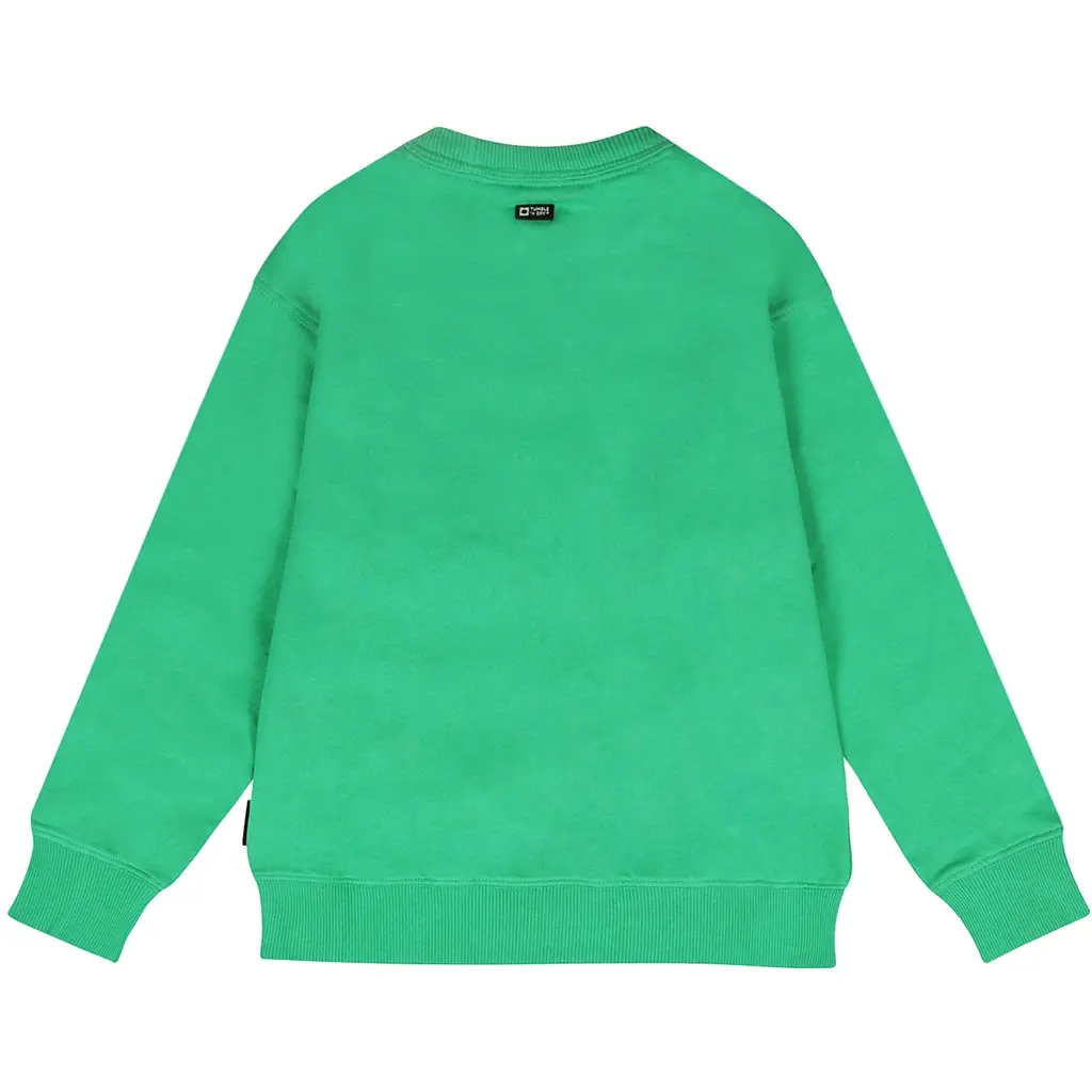 Trui Winner (mid green)