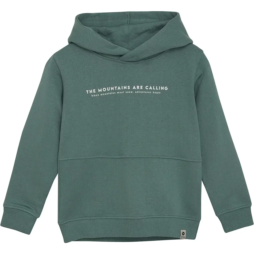 Trui hoodie backprint (blue spruce)