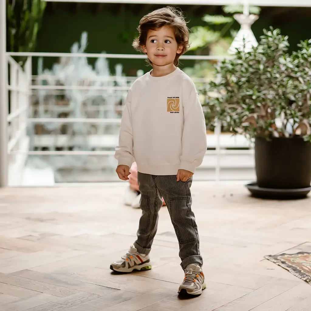 Broek stripes straight fit (phantom)