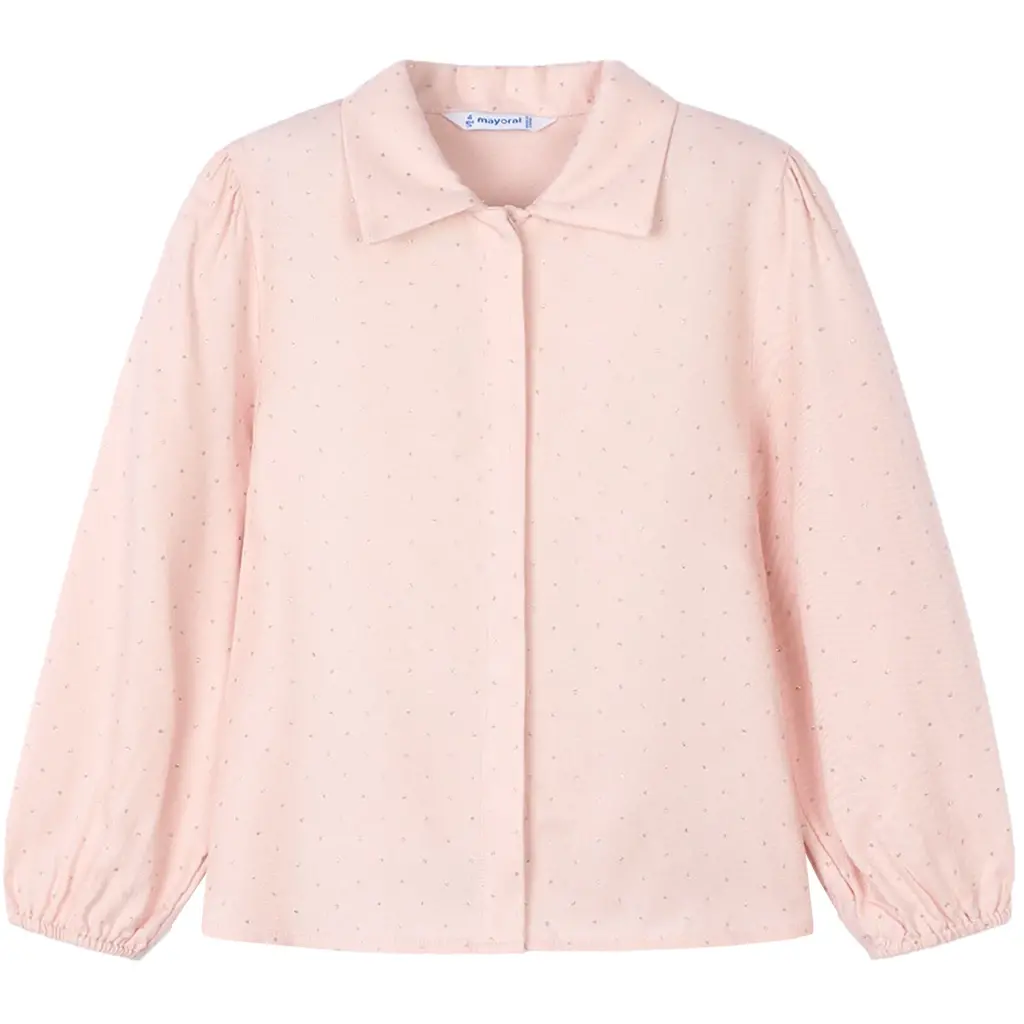 Blouse glitter (cake)