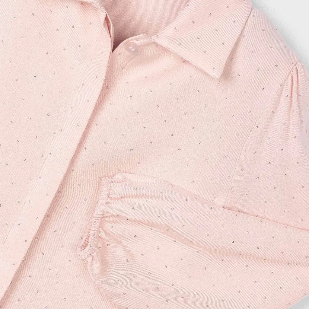 Blouse glitter (cake)