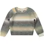 Baje Studio Trui Bern (grey melange multicolor)