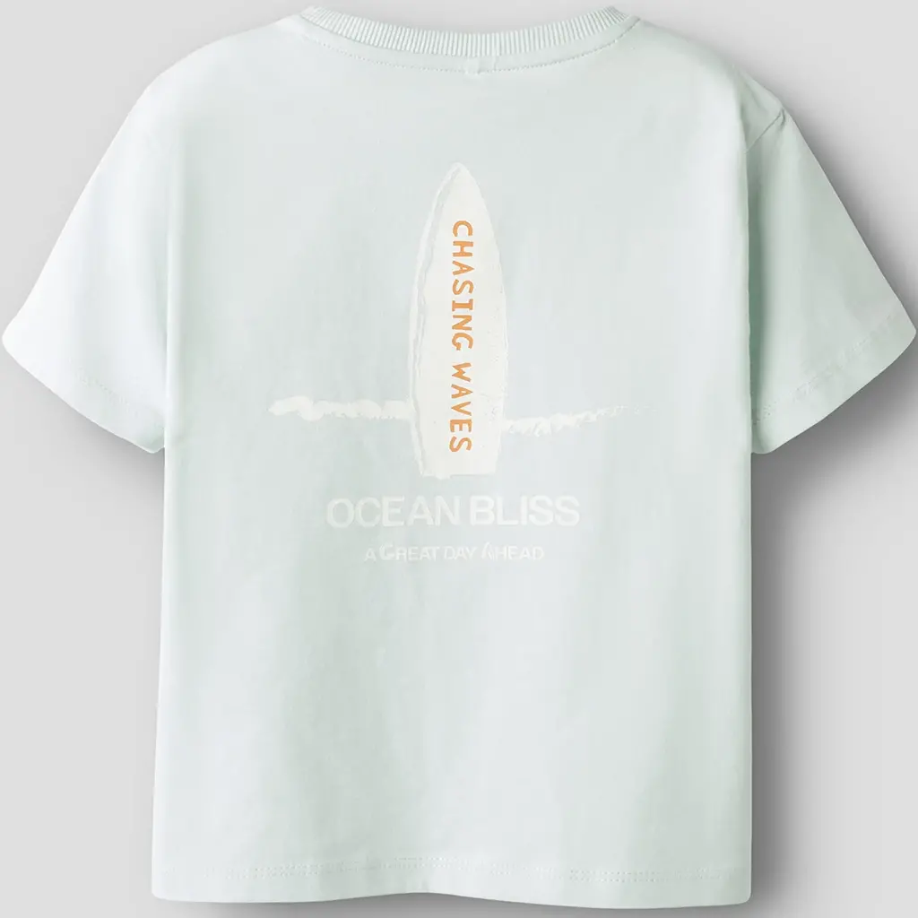 T-shirt Jackson (glacier)