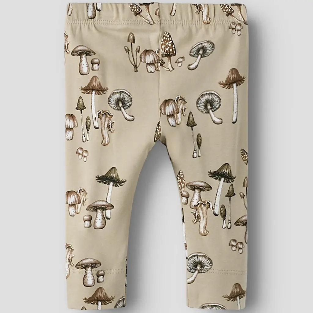 Broekje Feyan (island fossil)