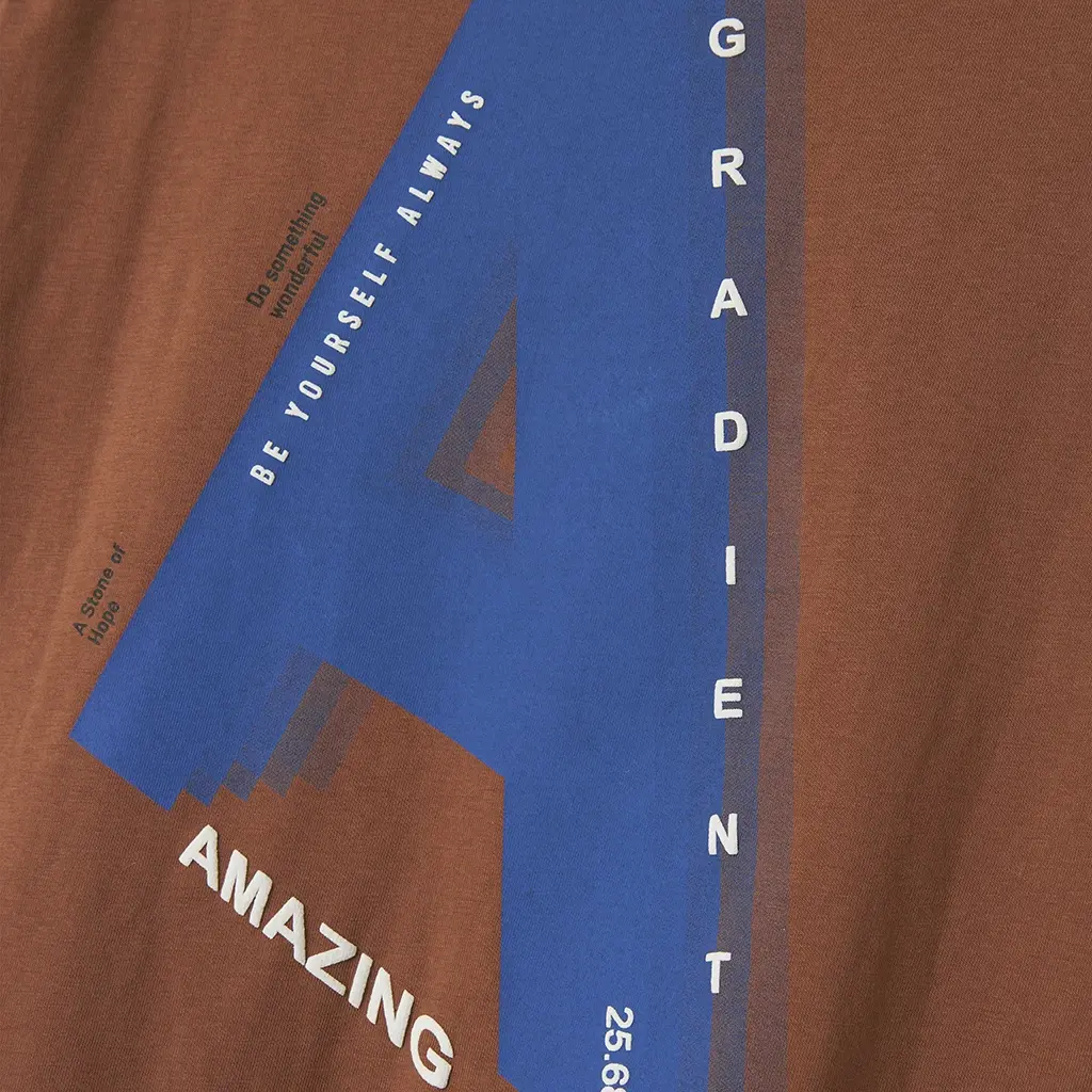 T-shirt Oakley (carob brown)