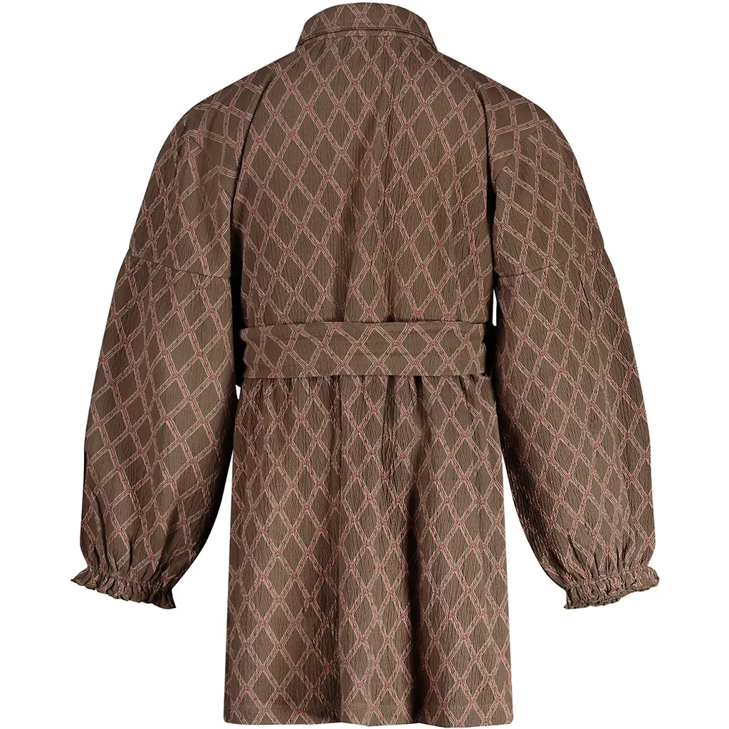 Jurk Vajen (aop taupe lines)