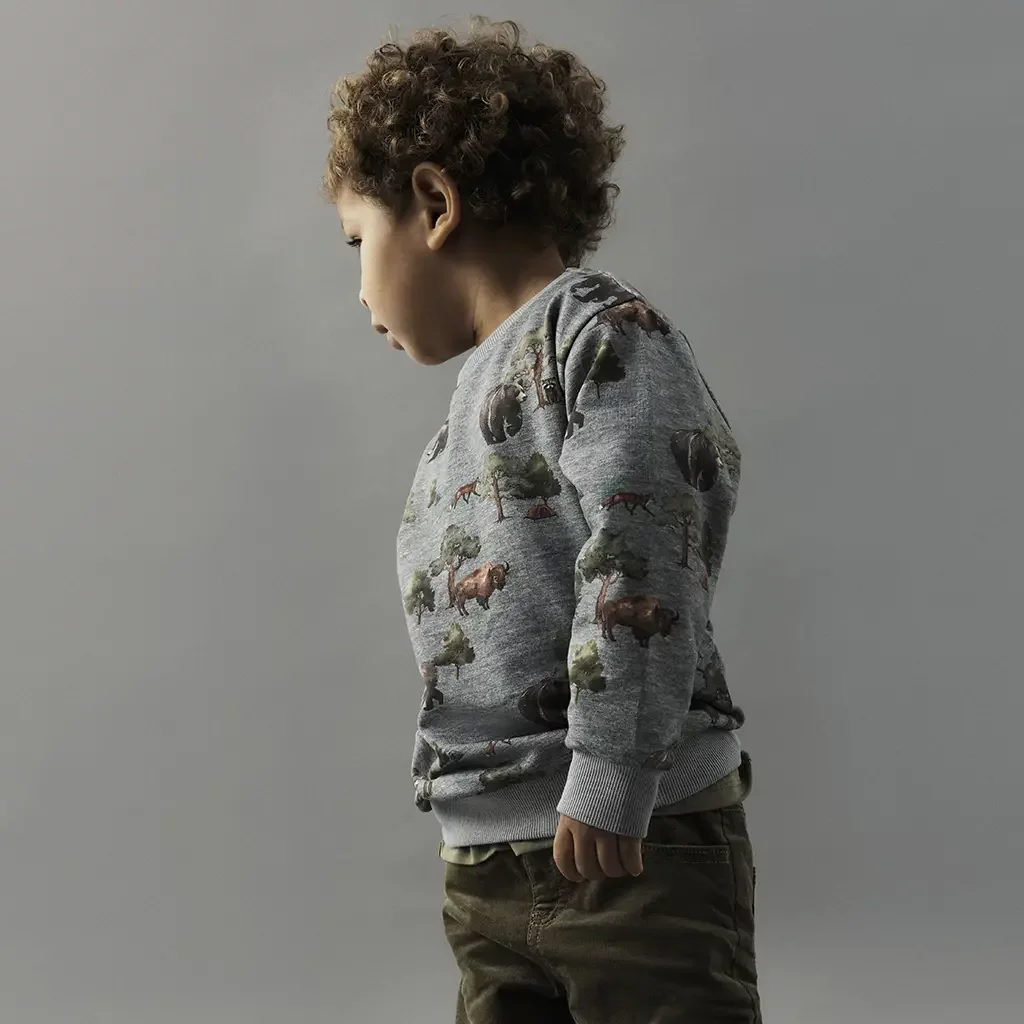 Trui sweater Molin (grey melange)