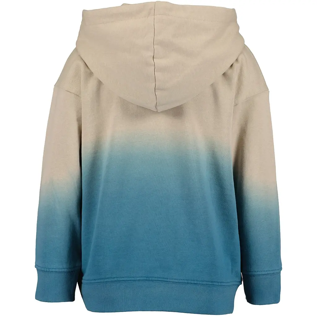 Trui hoodie (pacific)