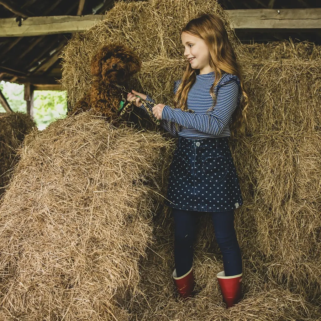 Spijkerrokje (denim hearts)
