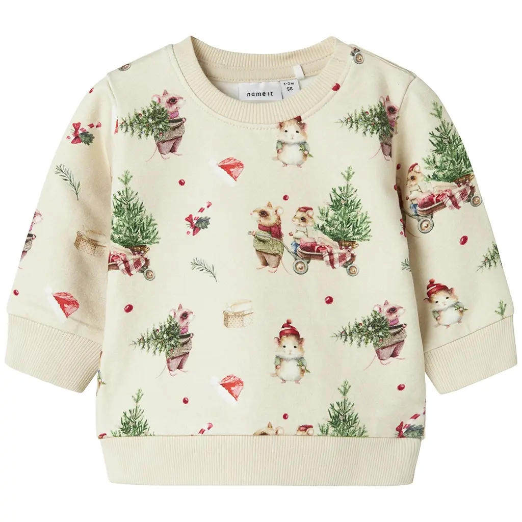 KERST truitje sweat Renu (peyote melange)