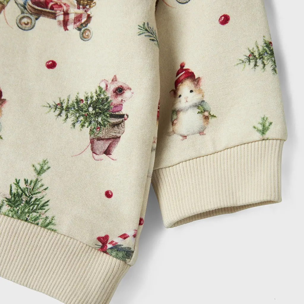 KERST truitje sweat Renu (peyote melange)