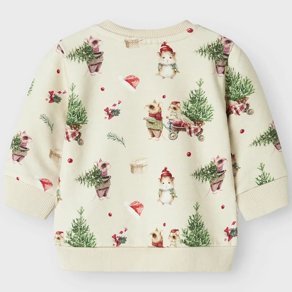KERST truitje sweat Renu (peyote melange)
