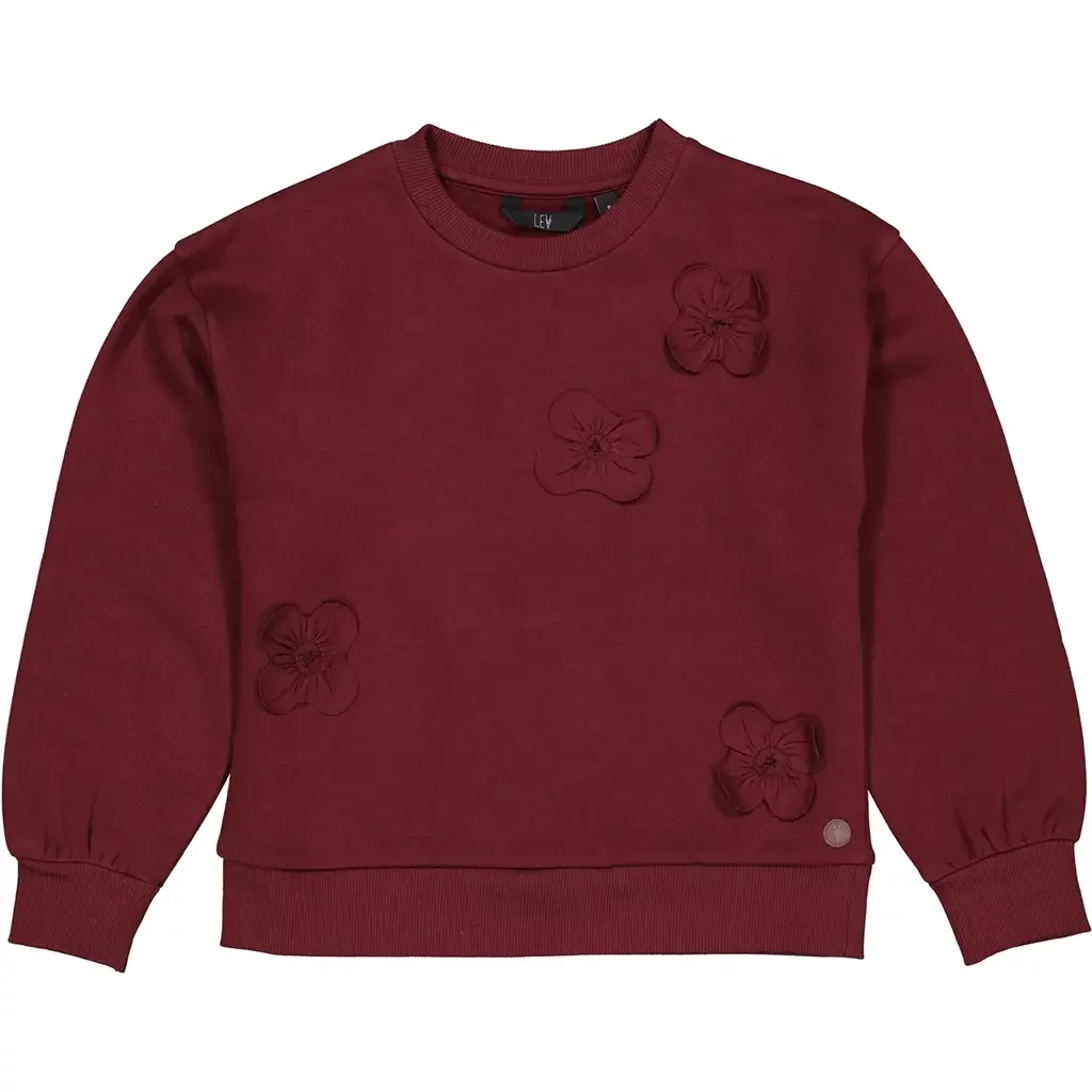 Trui Vanity (dark red)