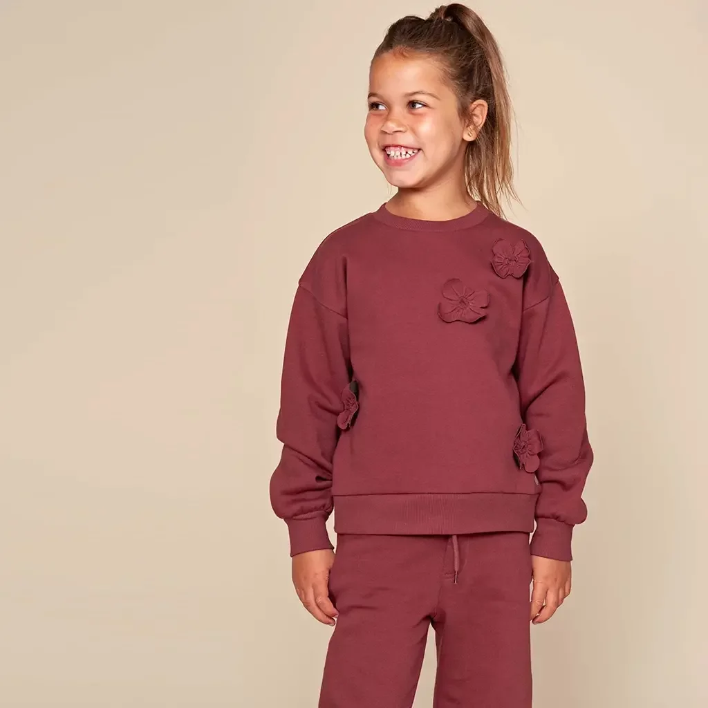 Trui Vanity (dark red)