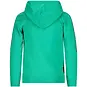 TYGO & Vito Trui hoodie Hero (pepper green)