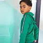 TYGO & Vito Trui hoodie Hero (pepper green)