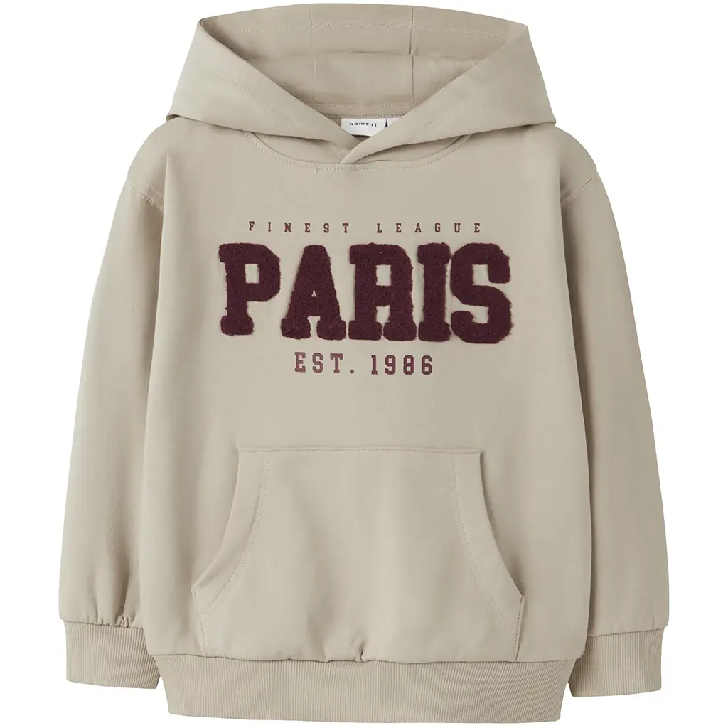 Trui hoodie Rivan (island fossil)