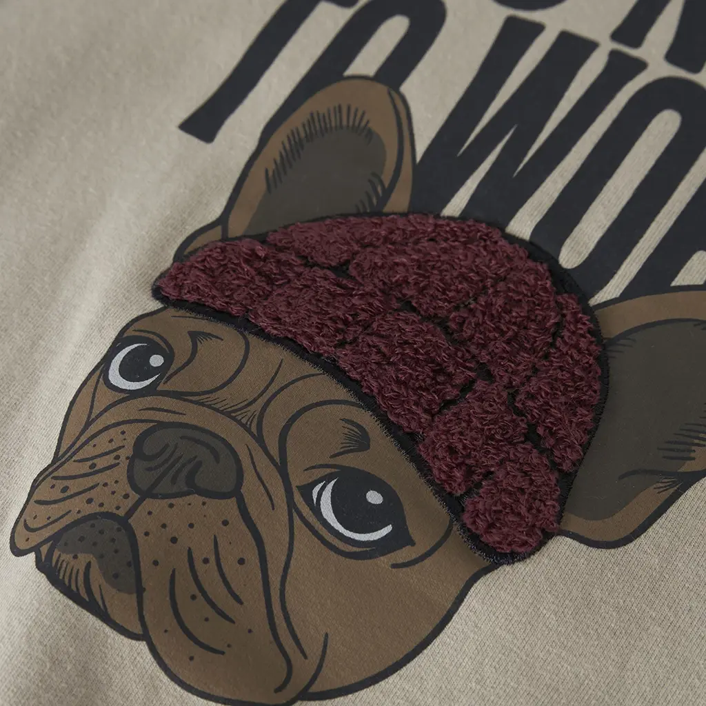 Trui sweat Riguna (island fossil)