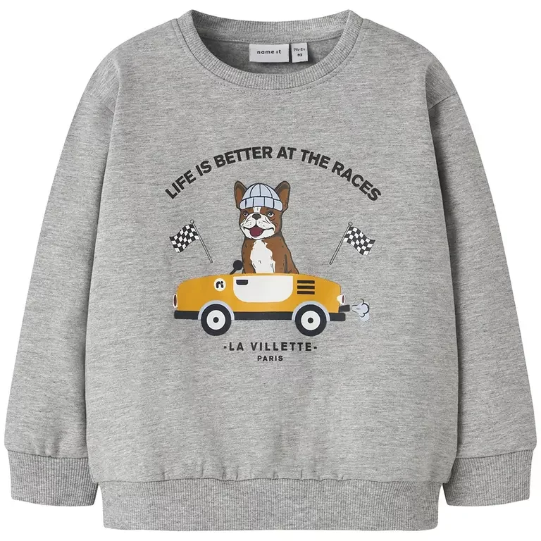 Trui sweat Roval (grey melange