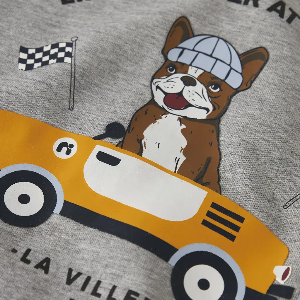 Trui sweat Roval (grey melange