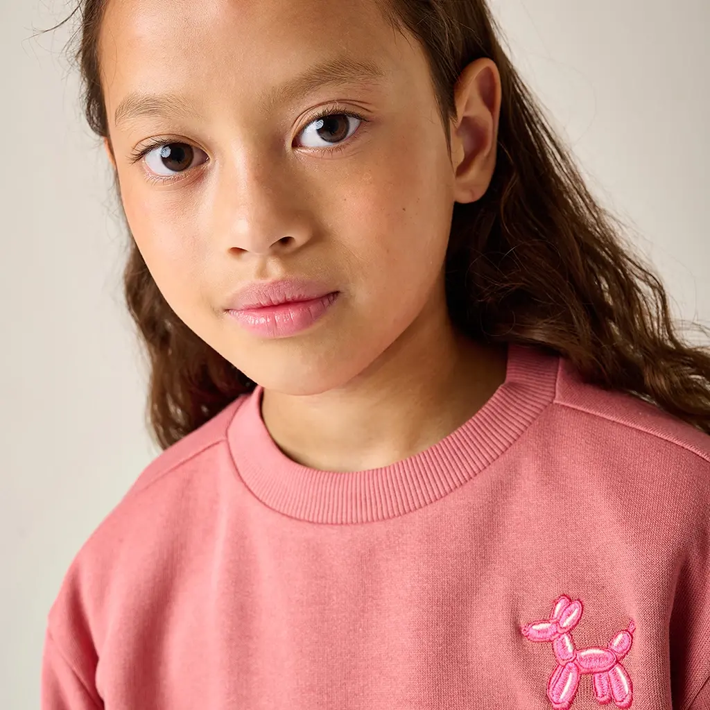 Trui Salute (dusty rose)