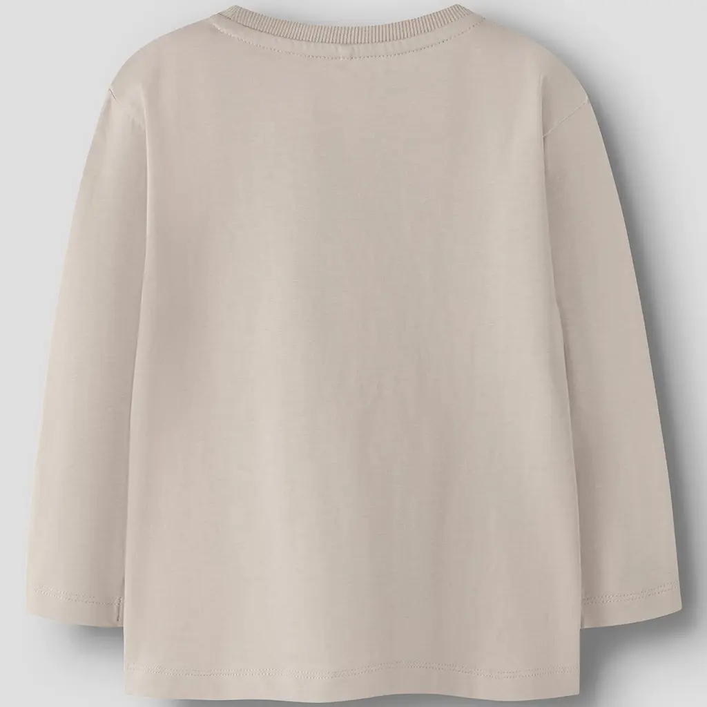 Longsleeve Vimpel (mushroom dino)