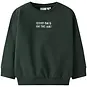 Name It Trui sweat Slade (pine grove)