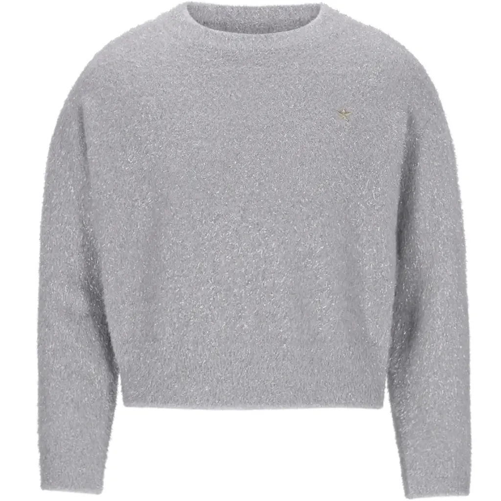 Zacht gebreide trui Do (silver)