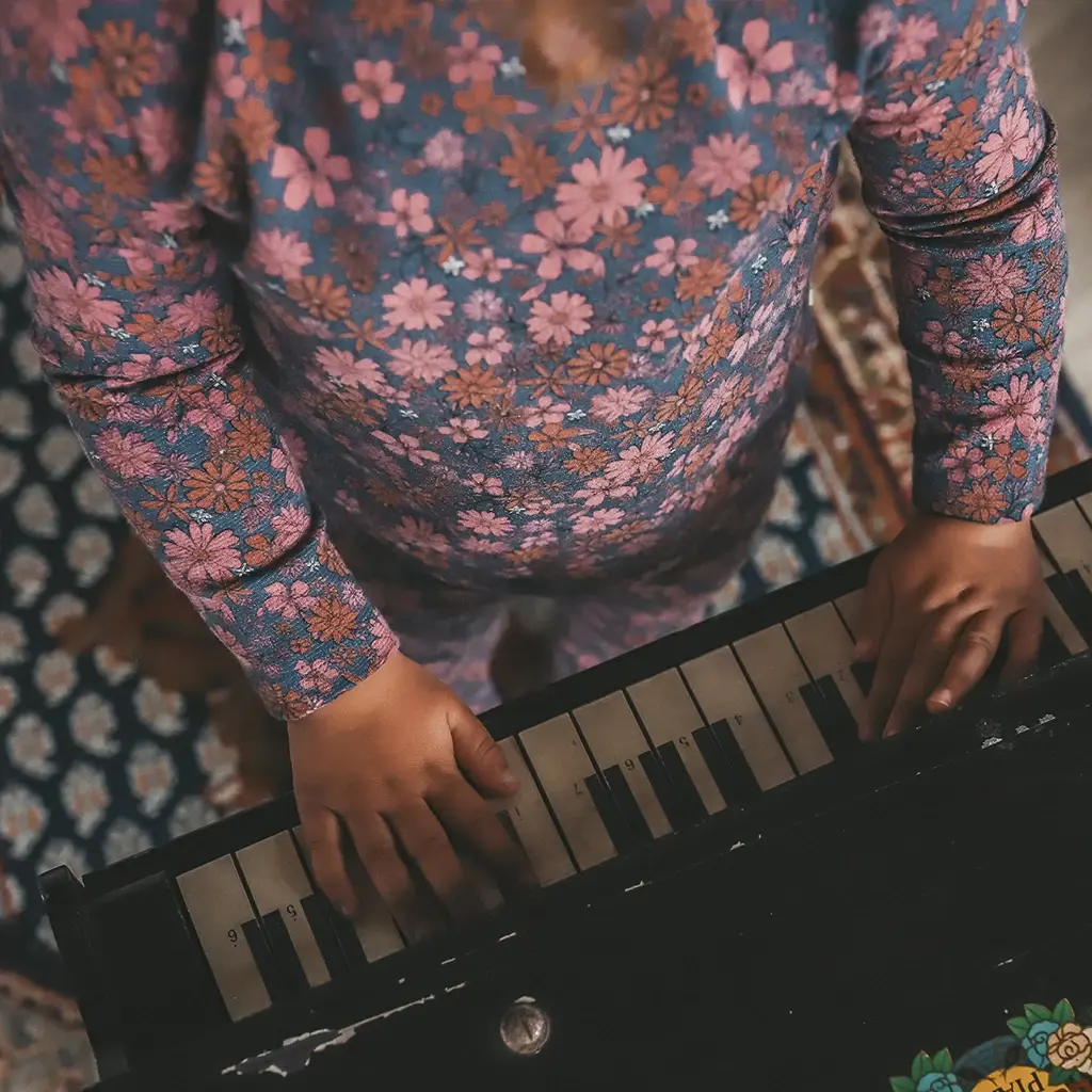 Longsleeve (multicolor)