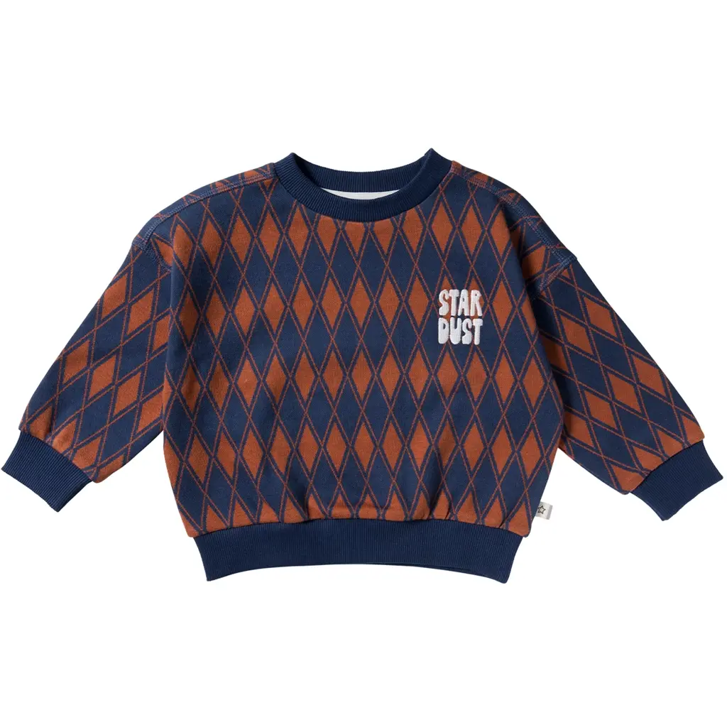 Trui checker (multicolor)