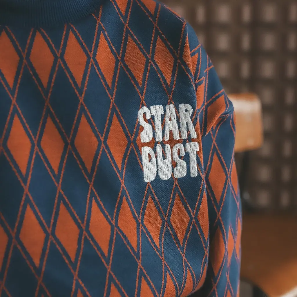 Trui checker (multicolor)