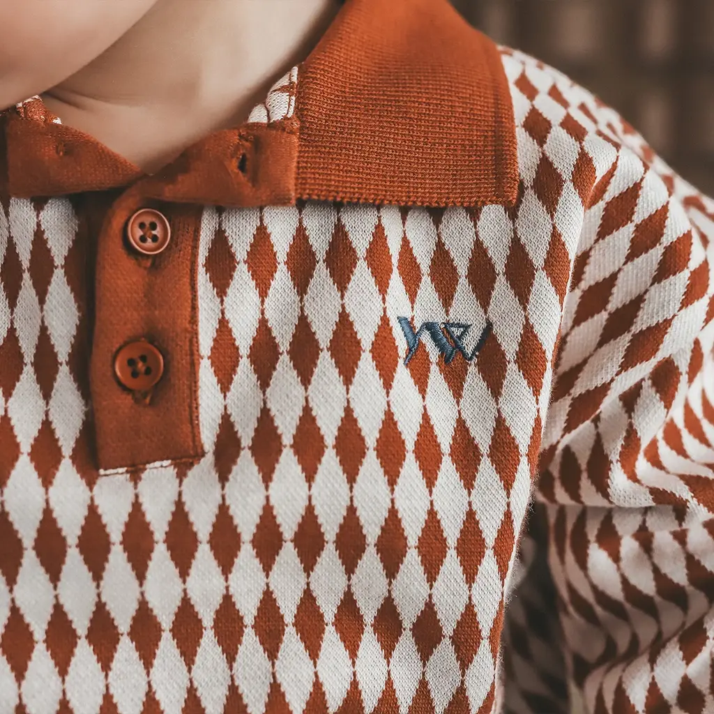 Trui ziggy (multicolor)