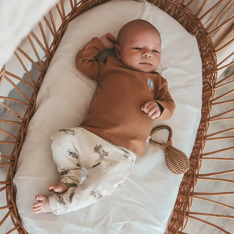 Longsleeve (indian tan)