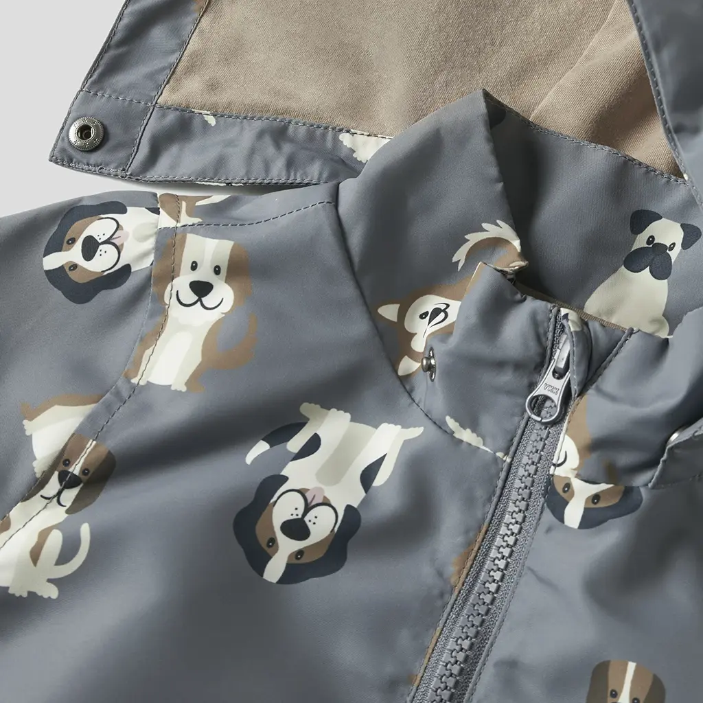 Zomerjas Max (flint stone dog)