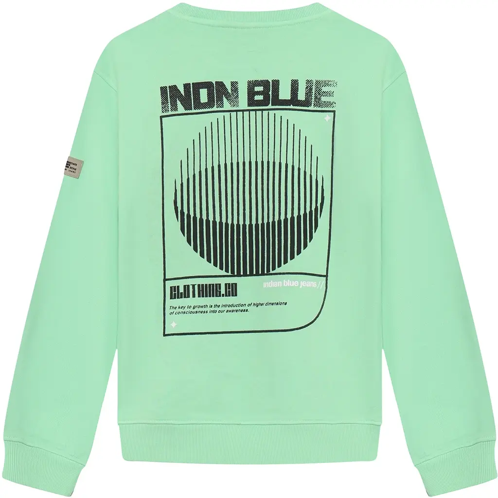 Trui backprint washed (fresh green)