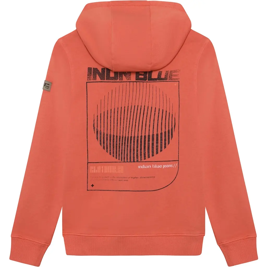 Trui hoodie washed (lantana)