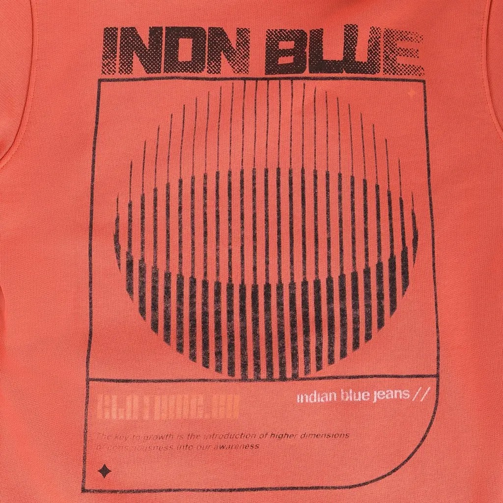 Trui hoodie washed (lantana)