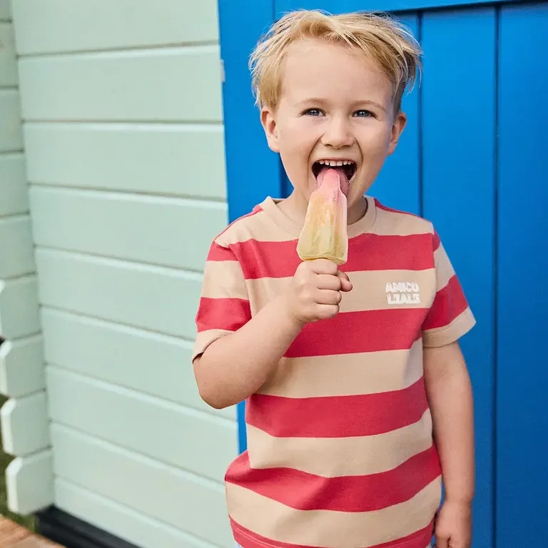 T-shirt stripe Backprint (chrysanthemum)