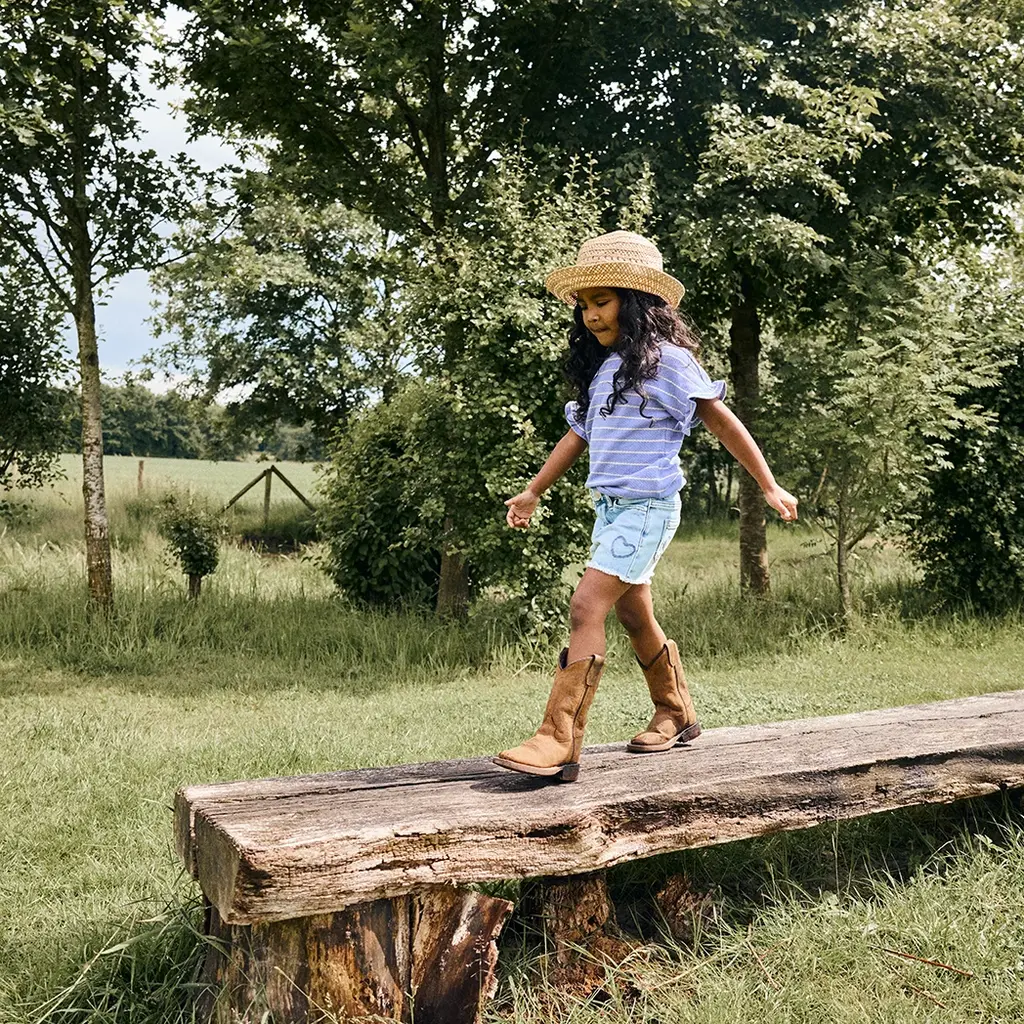 T-shirt stripe (lolite)