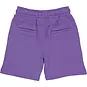 QPI Korte broek Dylan (dark purple)