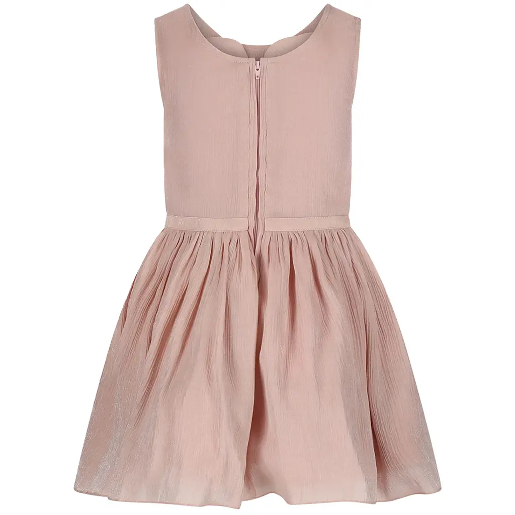 Jurk Strap (pink symphony)