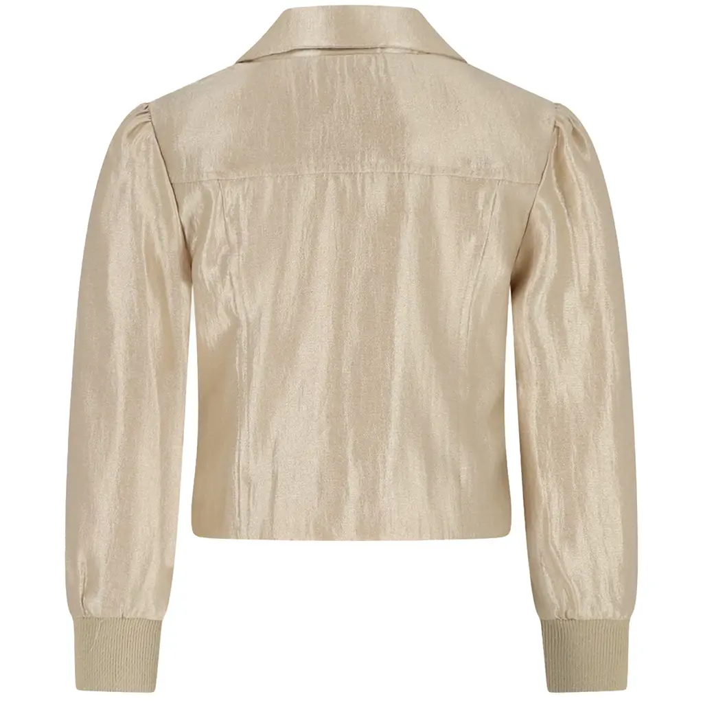 Colbert Anster (golden glow)